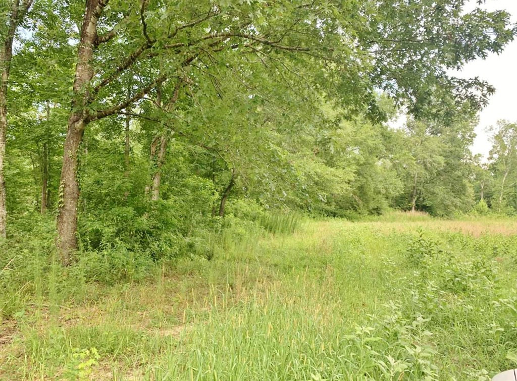 3000 Stonington Road Lorman, MS 39096 - Photo 17 of 38 Photo 17