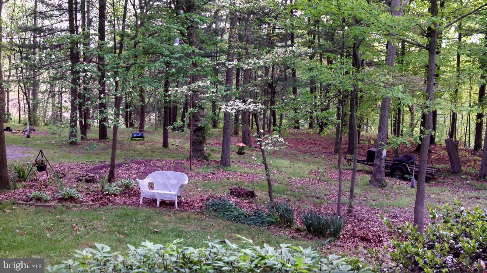 3337 Thomas Bridge Road Street, MD 21154 - Photo 27 of 32 SPRING TIME VIEW