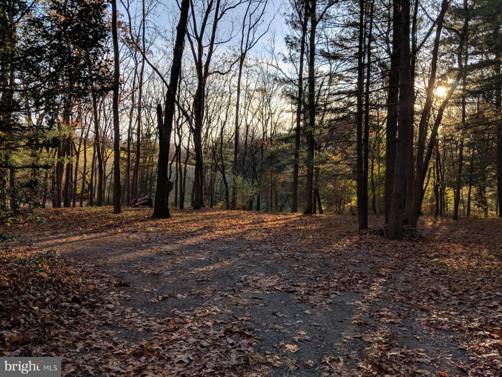 3337 Thomas Bridge Road Street, MD 21154 - Photo 28 of 32 FALL VIEW