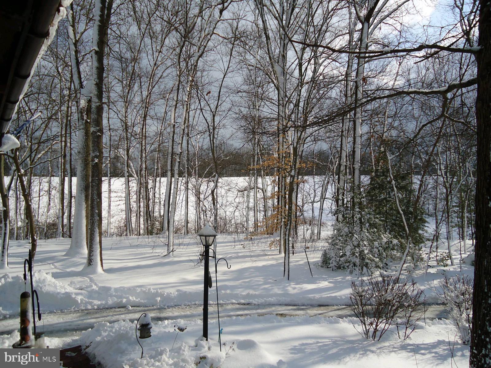 3337 Thomas Bridge Road Street, MD 21154 - Photo 29 of 32 WINTER VIEW