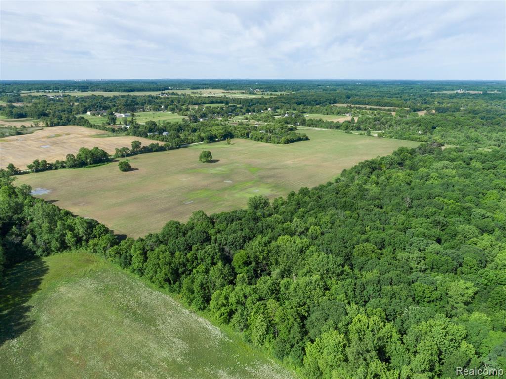 0 6 Mile Road Northville, MI 48168 - Photo 11 of 18