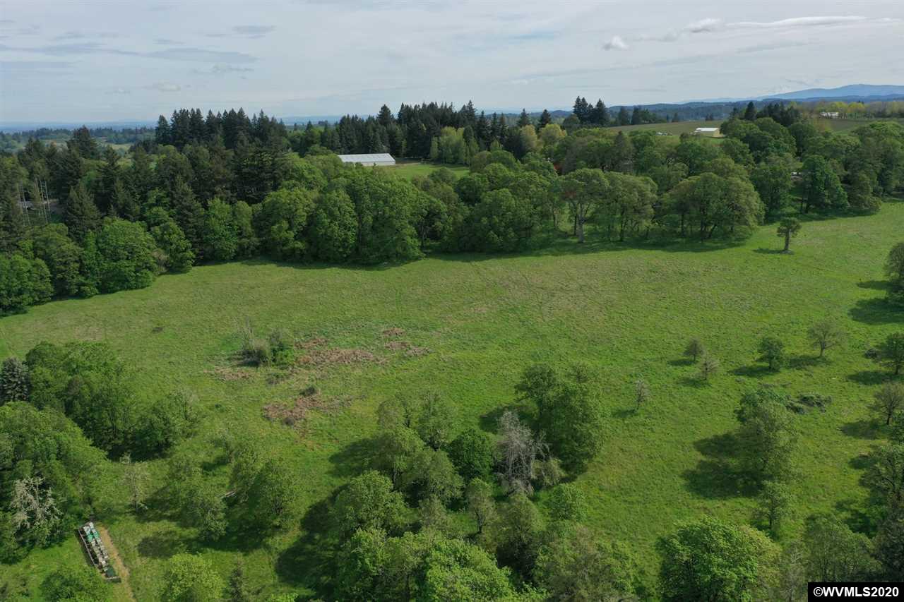 5913 Davis Creek Road Northeast Silverton, OR 97381 - Photo 4 of 9