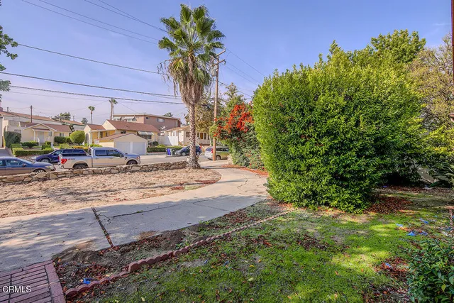 a palm tree sitting in front of a house