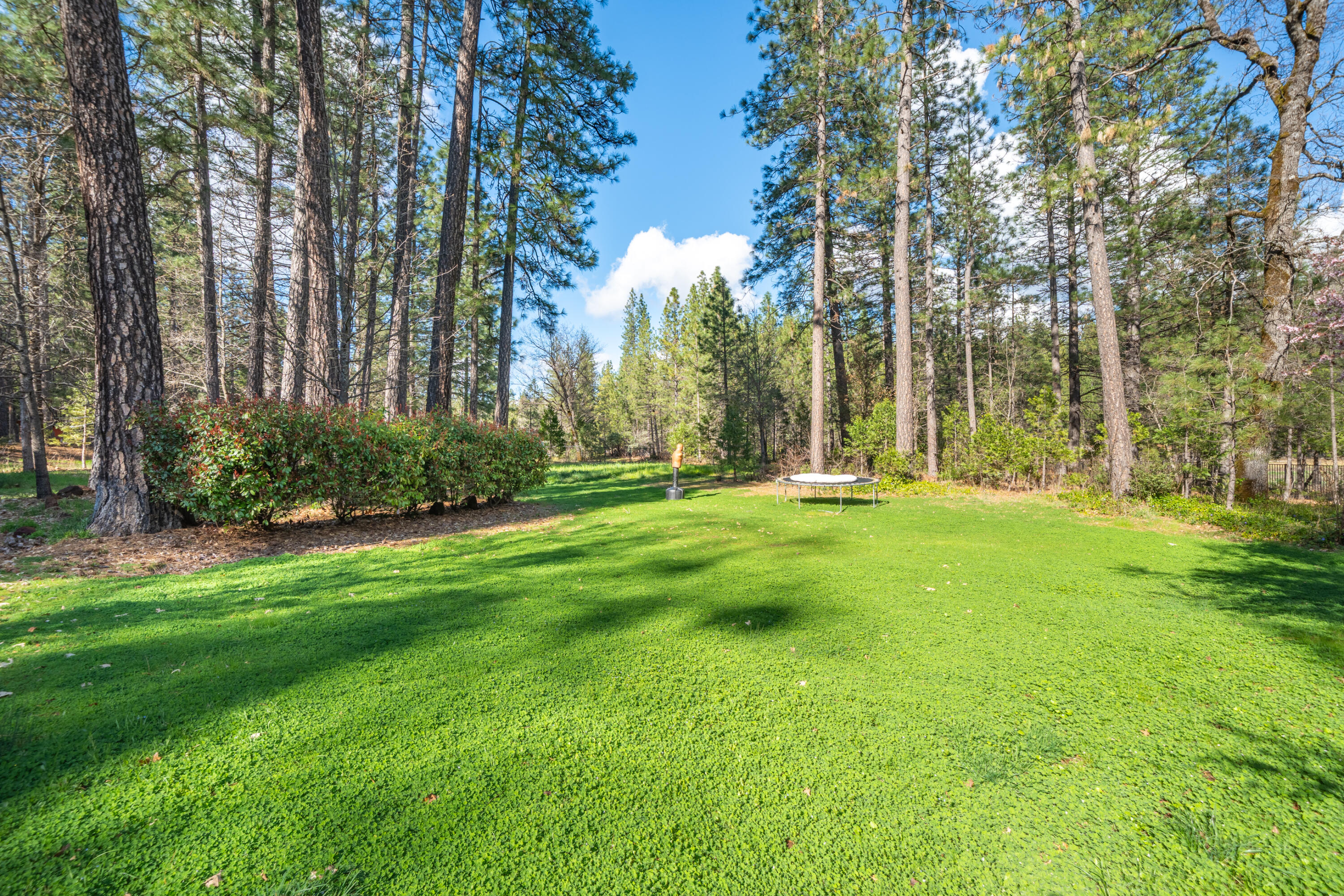 29276 Bullskin Ridge Road Oak Run, CA 96069 - Photo 101 of 113 29276 Bullskin Ridge Rd-89