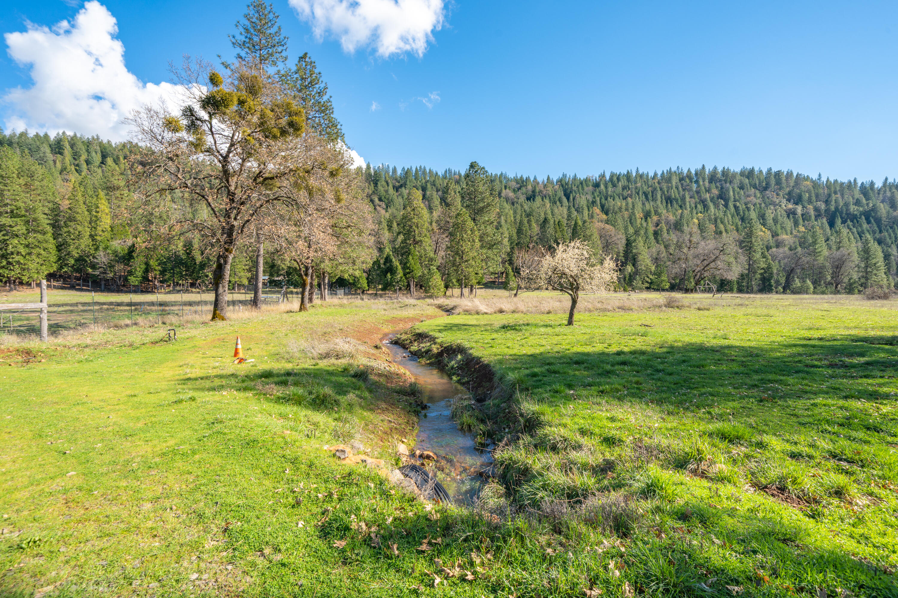 29276 Bullskin Ridge Road Oak Run, CA 96069 - Photo 102 of 113 a view of a park with large trees