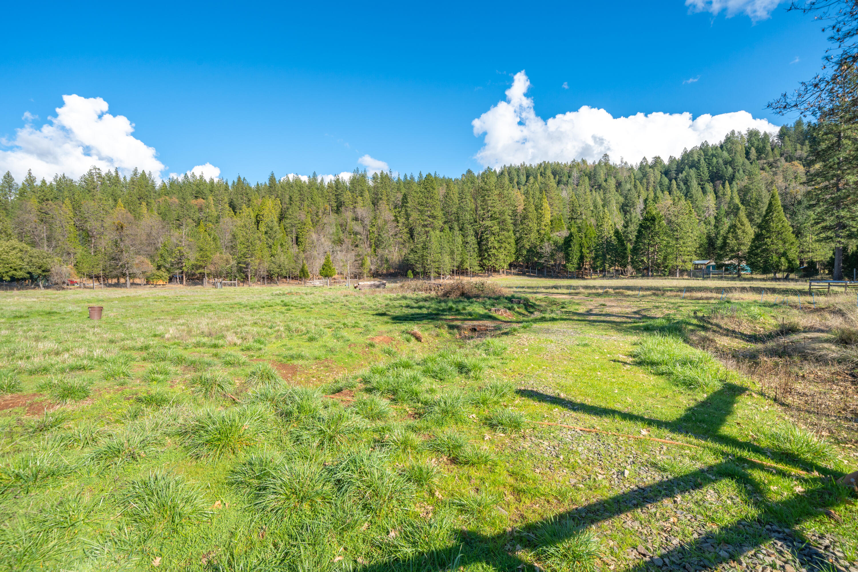 29276 Bullskin Ridge Road Oak Run, CA 96069 - Photo 106 of 113 29276 Bullskin Ridge Rd-131