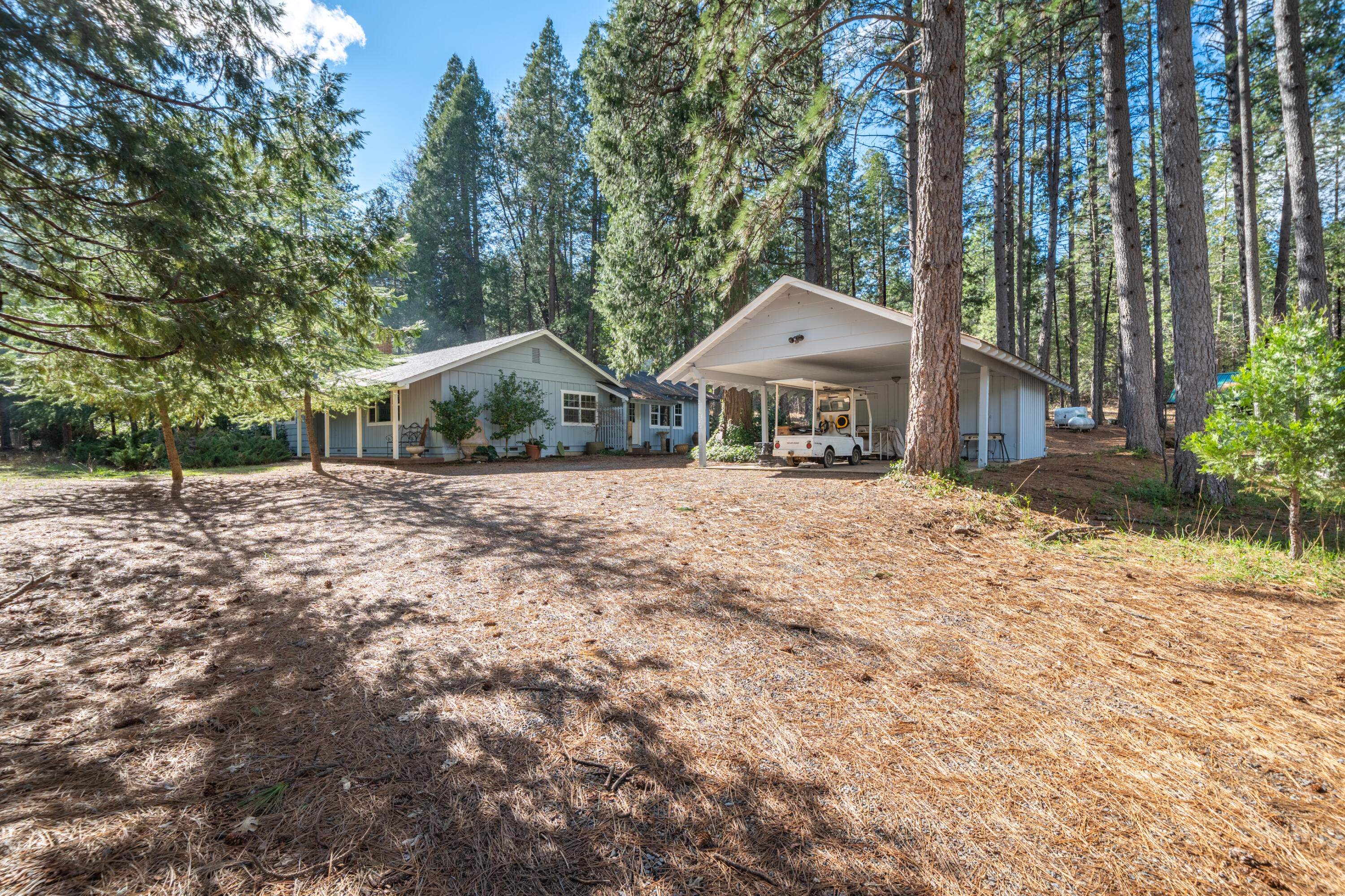 29276 Bullskin Ridge Road Oak Run, CA 96069 - Photo 13 of 113 a view of a house with a yard and large trees