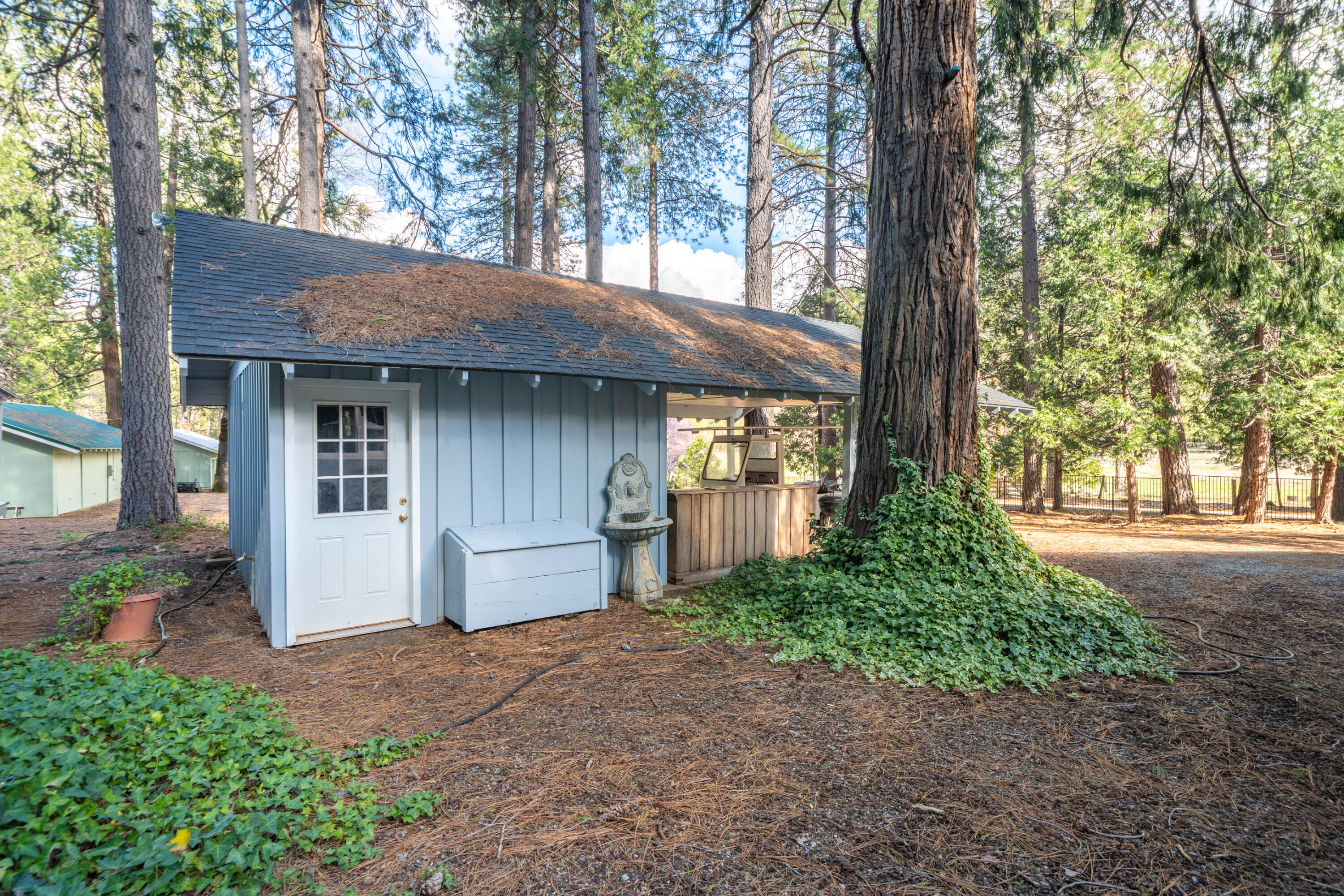 29276 Bullskin Ridge Road Oak Run, CA 96069 - Photo 17 of 113 a view of a house with a tree in front of it