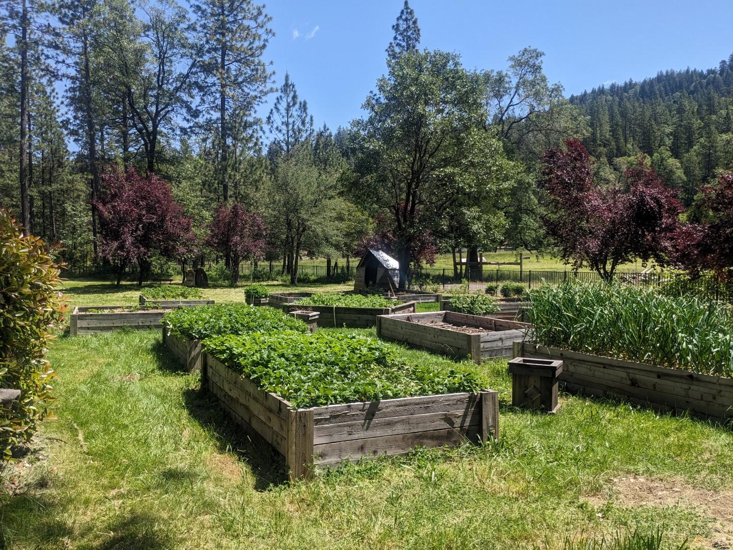 29276 Bullskin Ridge Road Oak Run, CA 96069 - Photo 33 of 113 BULLSKIN RIDGE RANCH