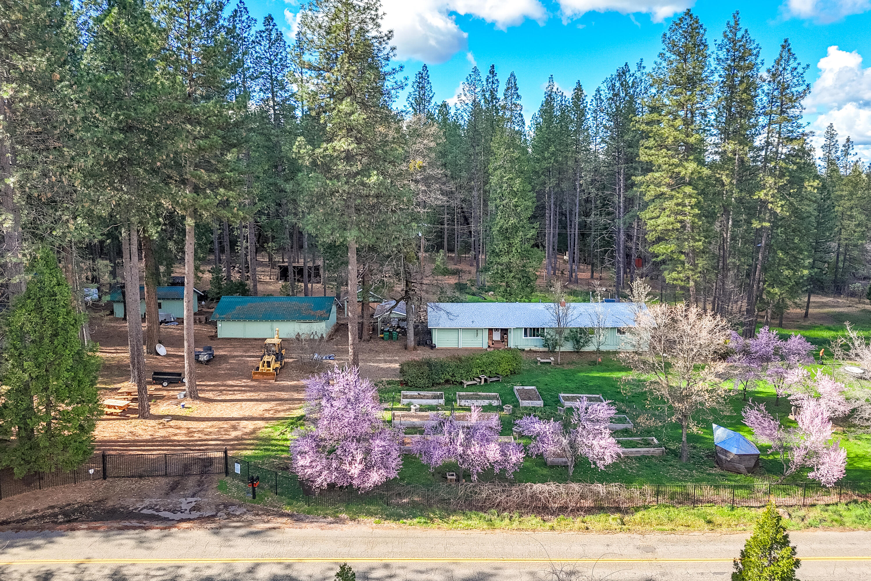29276 Bullskin Ridge Road Oak Run, CA 96069 - Photo 4 of 113 a view of a garden with flowers and trees