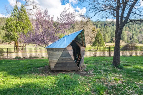 a view of a backyard with potted plants and large tree