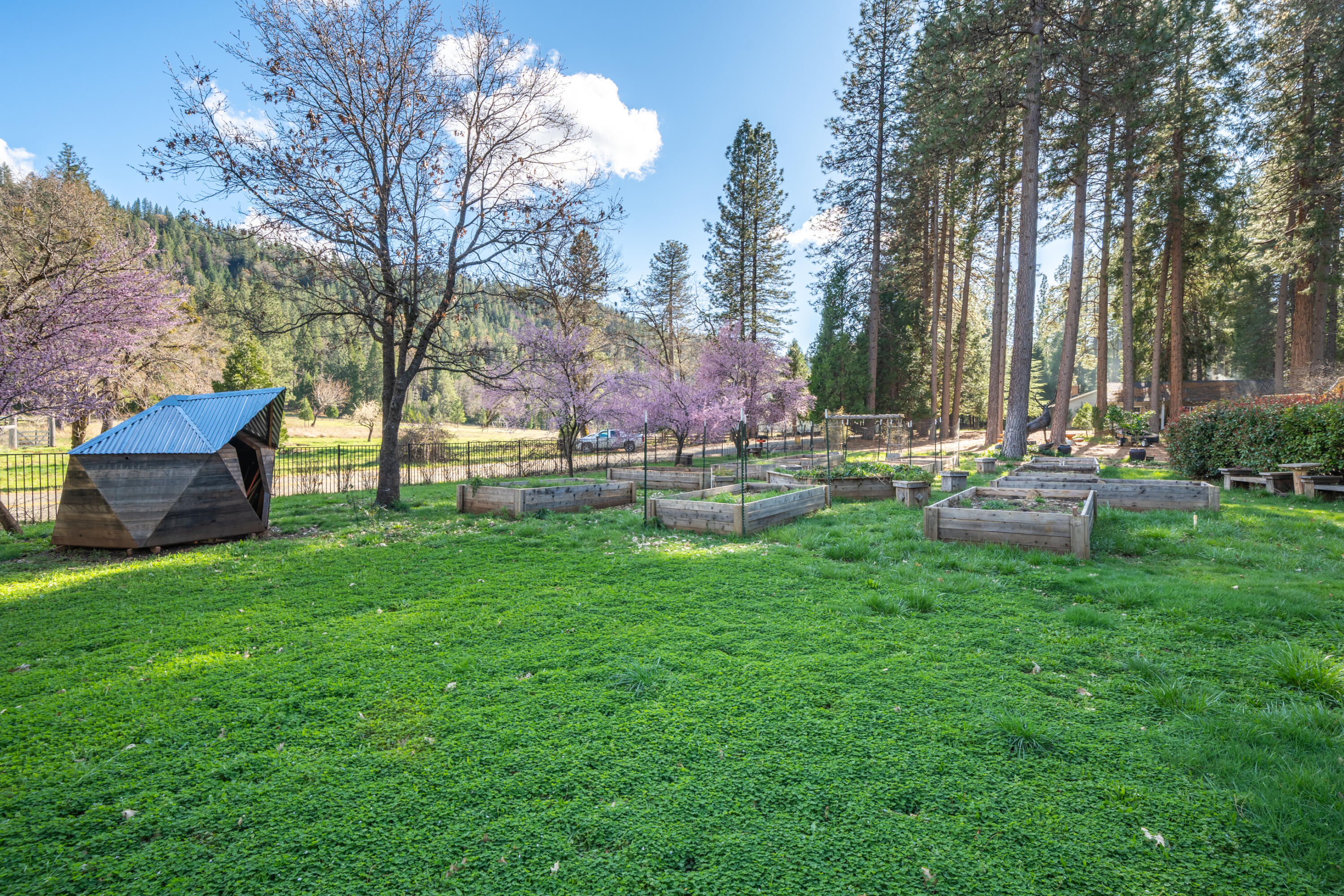 29276 Bullskin Ridge Road Oak Run, CA 96069 - Photo 48 of 113 a view of a house with backyard and sitting area