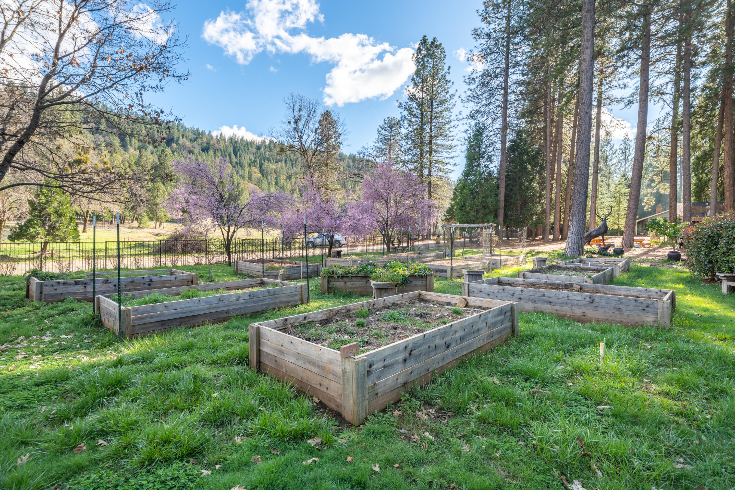 29276 Bullskin Ridge Road Oak Run, CA 96069 - Photo 49 of 113 29276 Bullskin Ridge Rd-77