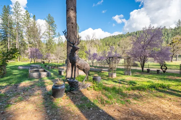 a view of a garden with an outdoor space