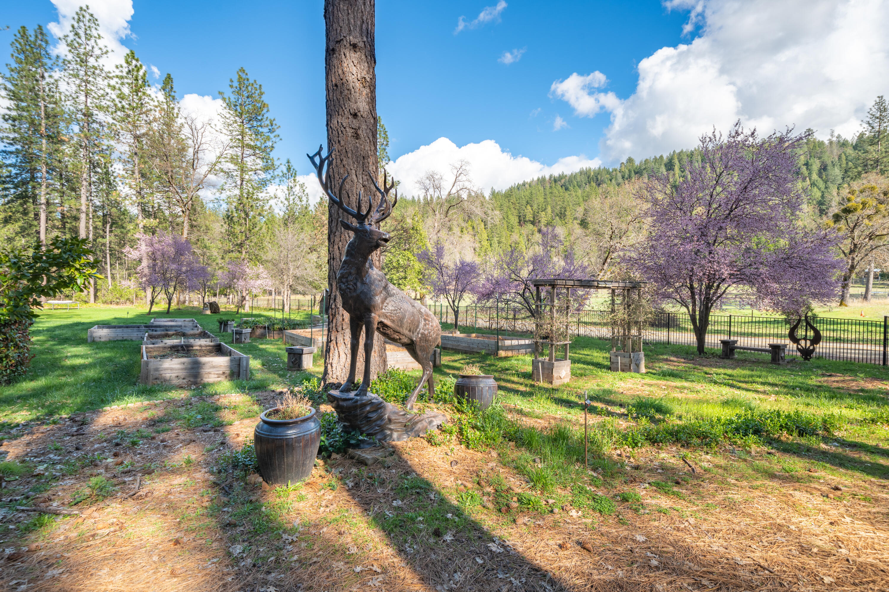 29276 Bullskin Ridge Road Oak Run, CA 96069 - Photo 50 of 113 29276 Bullskin Ridge Rd-82