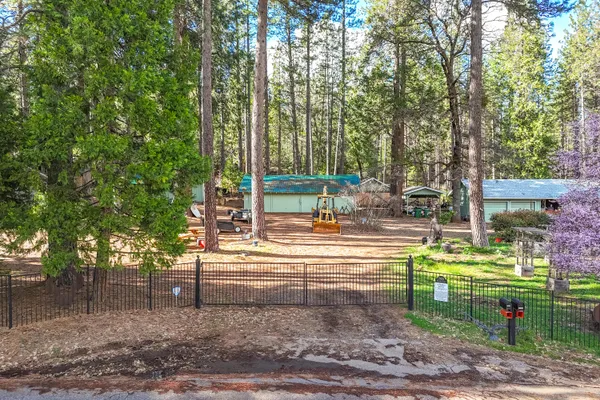 a view of a park with large trees