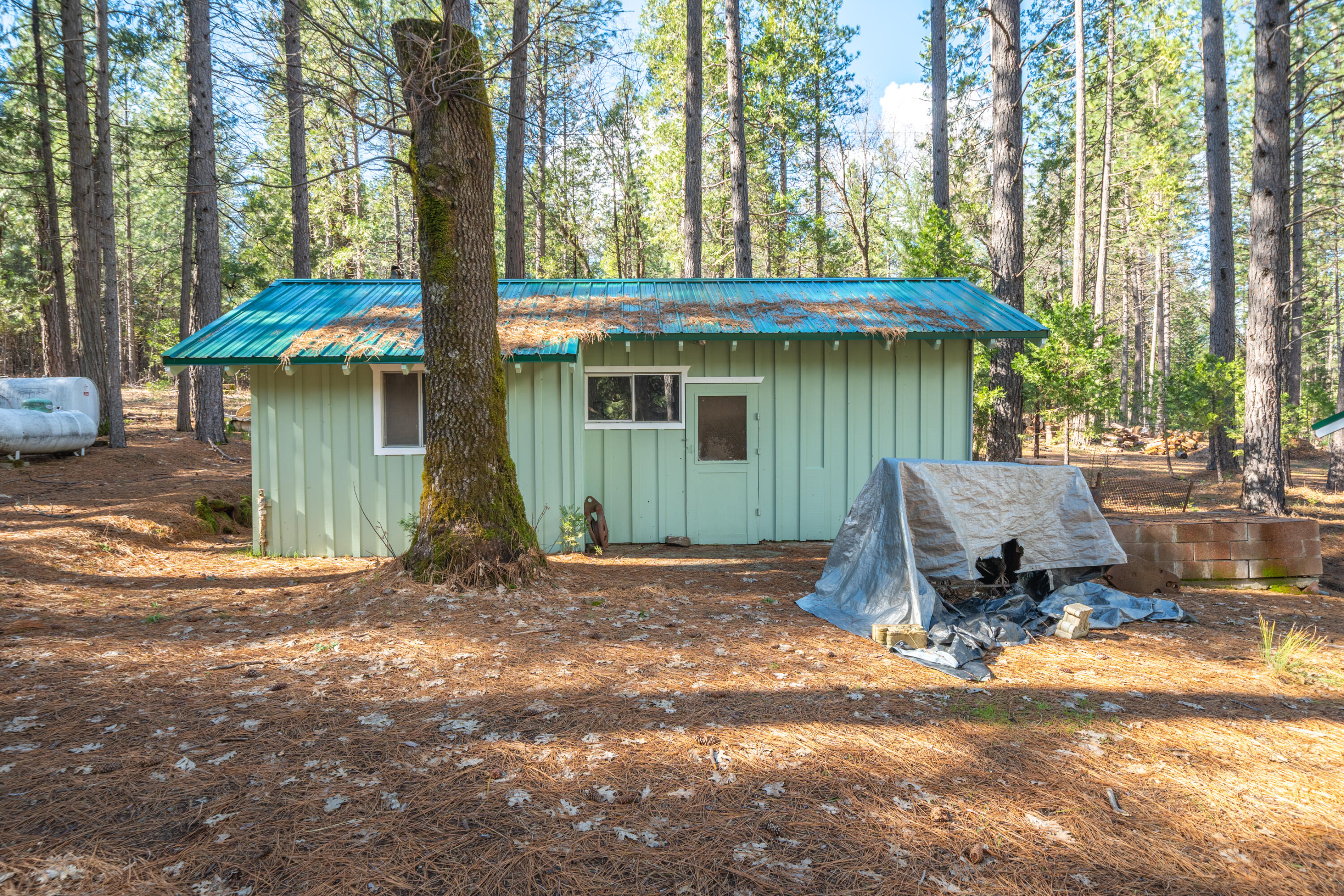29276 Bullskin Ridge Road Oak Run, CA 96069 - Photo 52 of 113 a view of a house with backyard and trees