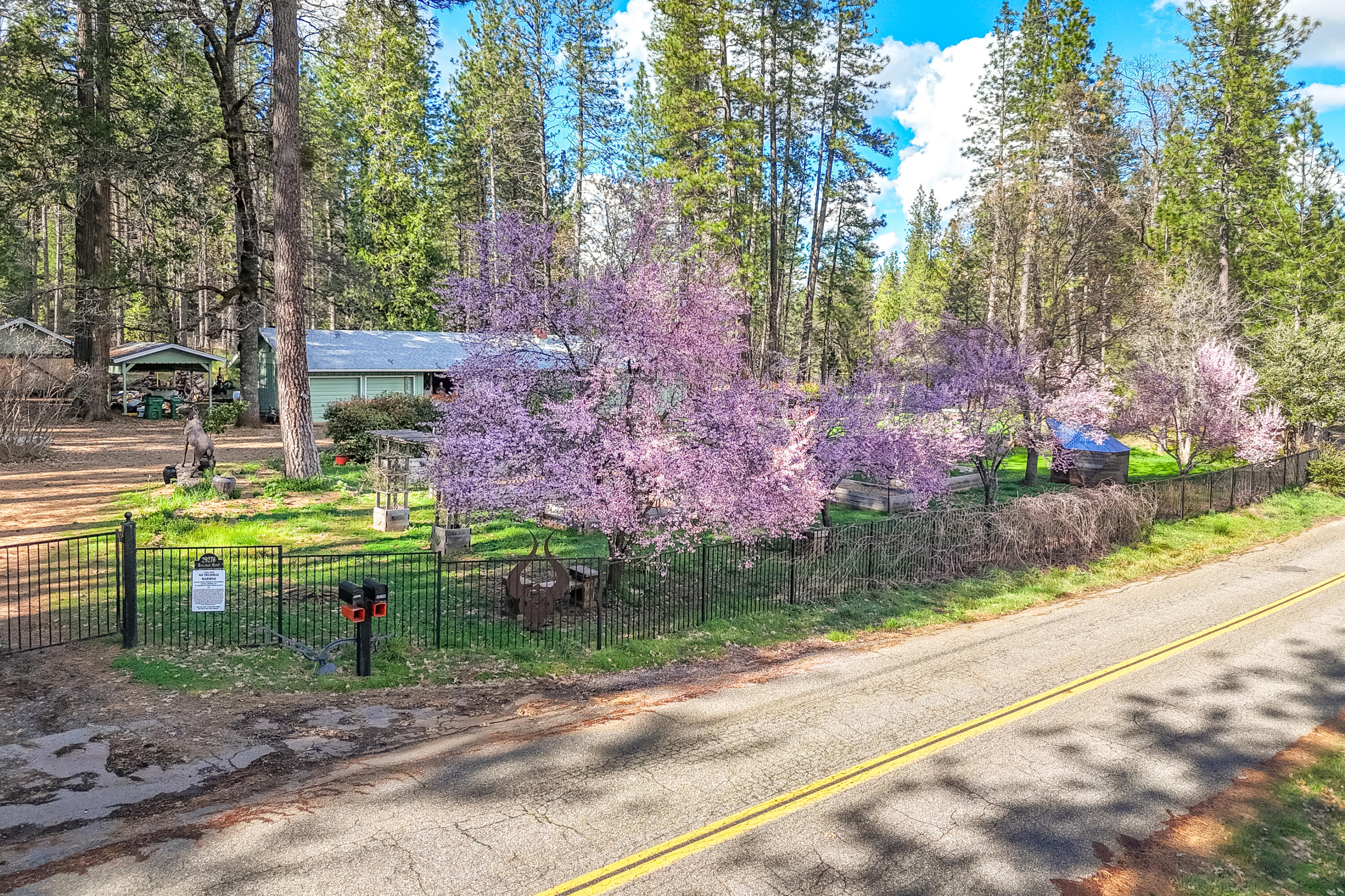29276 Bullskin Ridge Road Oak Run, CA 96069 - Photo 6 of 113 a view of a park with large trees