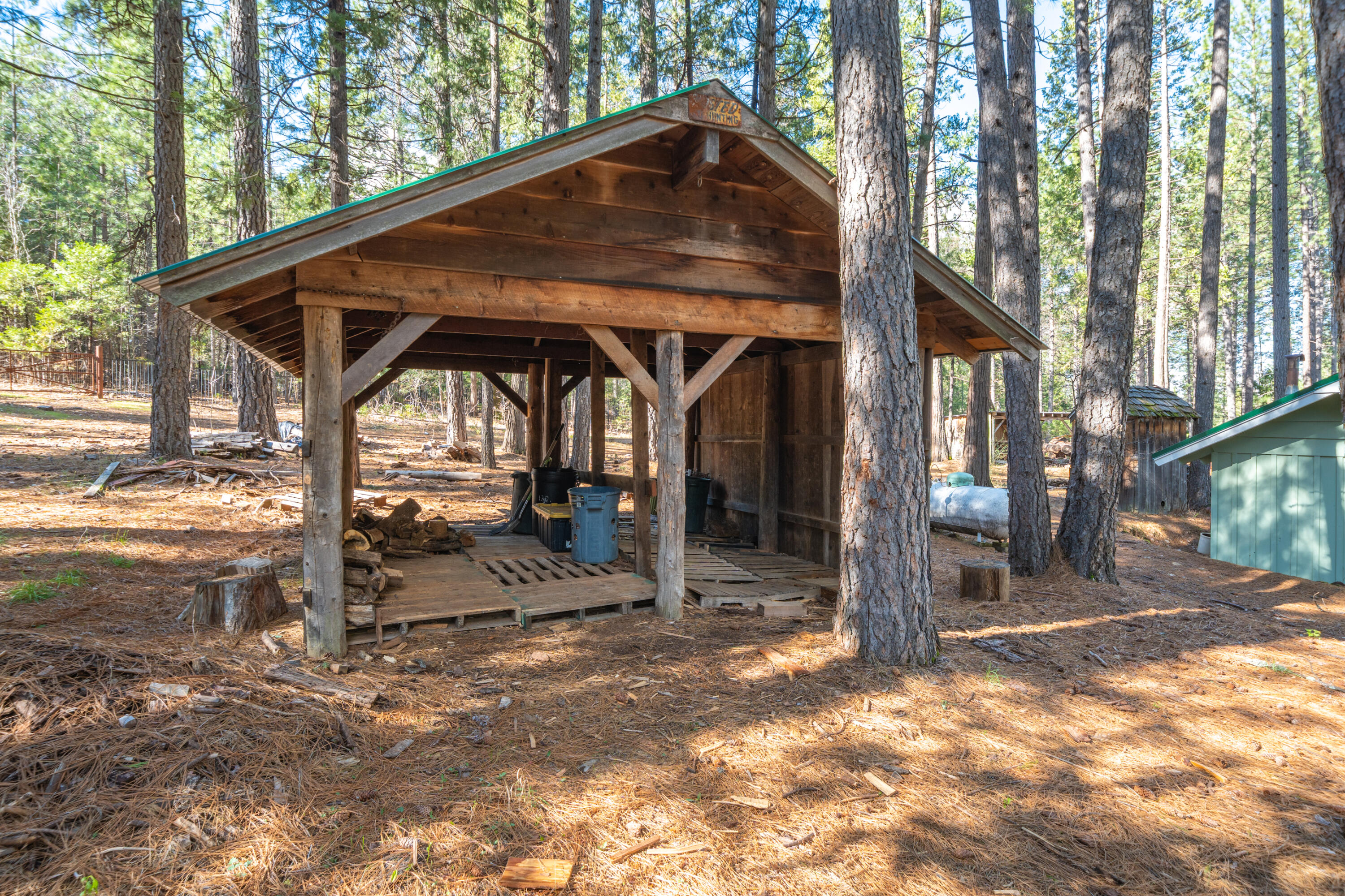 29276 Bullskin Ridge Road Oak Run, CA 96069 - Photo 67 of 113 a view of outdoor space yard and porch