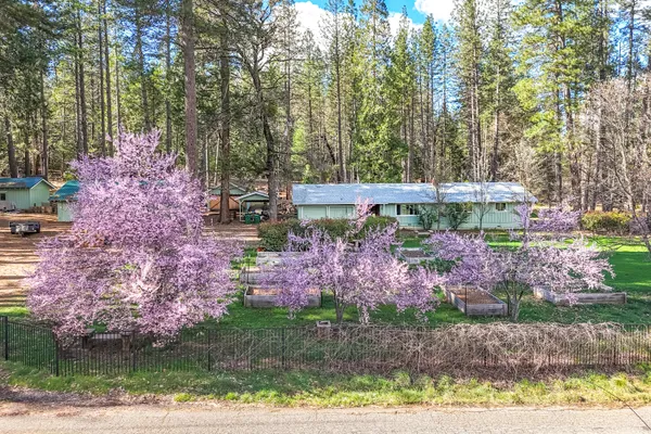 a view of a house with a tree in the yard