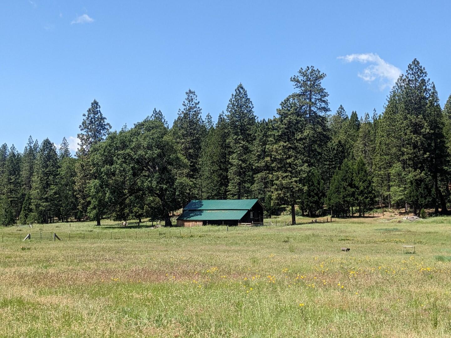 29276 Bullskin Ridge Road Oak Run, CA 96069 - Photo 73 of 113 a view of outdoor space with deck and yard