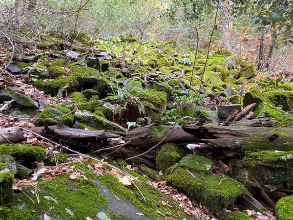 $1,100,000 | 29276 Bullskin Ridge Road, Oak Run, CA 96069