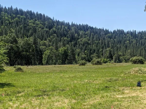 $1,100,000 | 29276 Bullskin Ridge Road, Oak Run, CA 96069