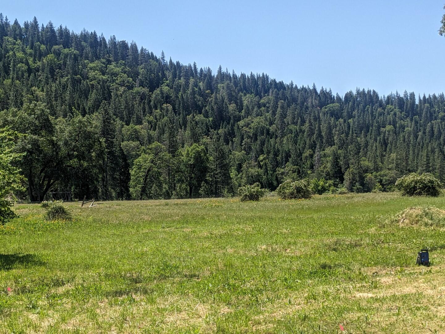 29276 Bullskin Ridge Road Oak Run, CA 96069 - Photo 82 of 113 BULLSKIN RIDGE RANCH