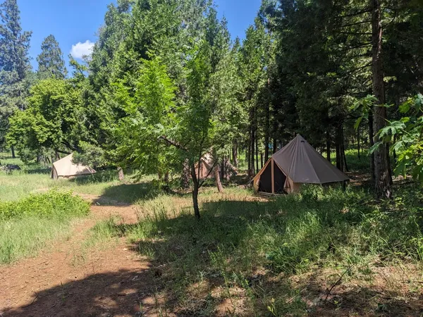 $1,100,000 | 29276 Bullskin Ridge Road, Oak Run, CA 96069