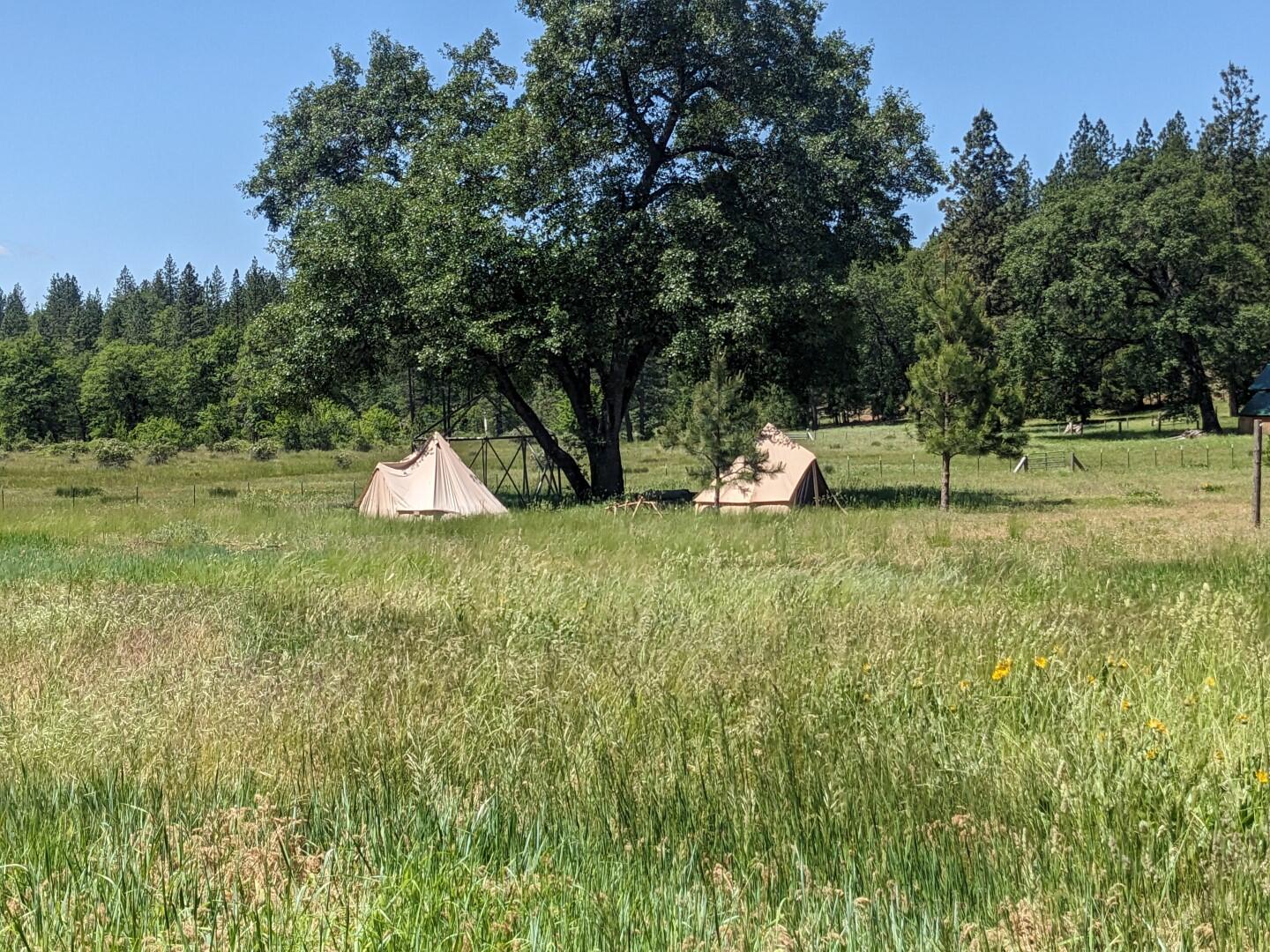 29276 Bullskin Ridge Road Oak Run, CA 96069 - Photo 96 of 113 BULLSKIN RIDGE RANCH