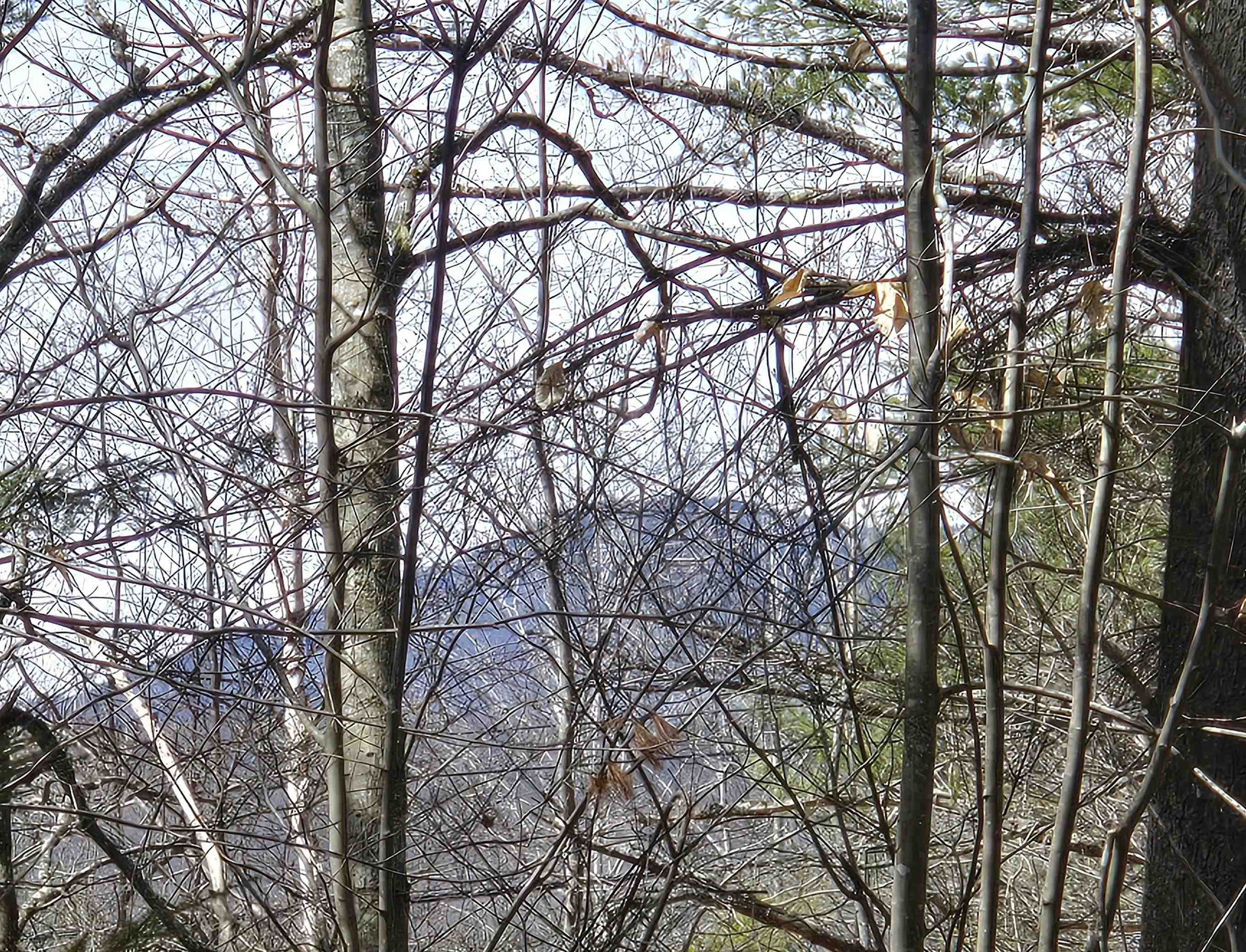 179 Chickville Road Ossipee, NH 03864 - Photo 2 of 12