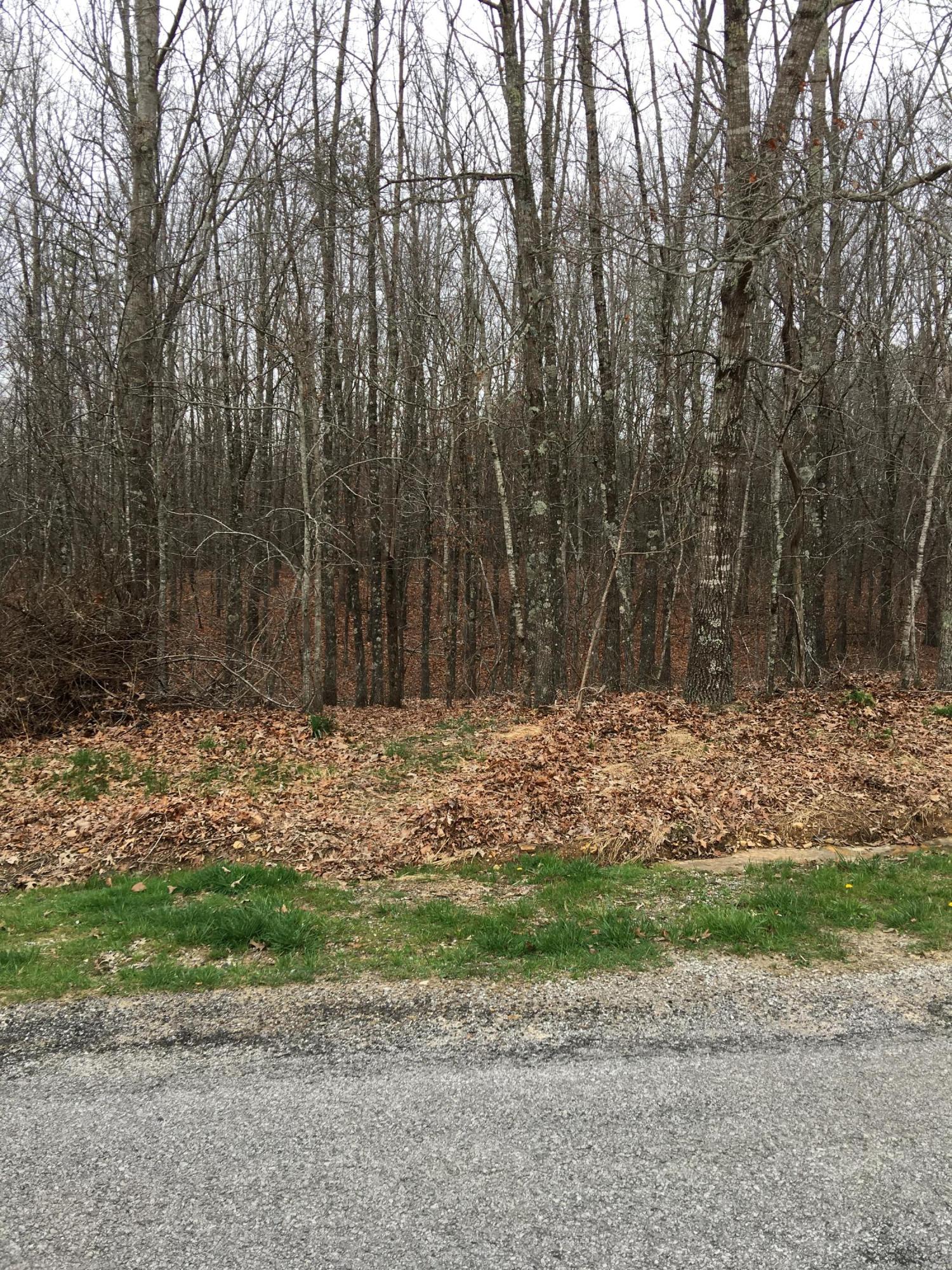 157 Cappshire Road Crossville, TN 38558 - Photo 1 of 8 IMG_2971