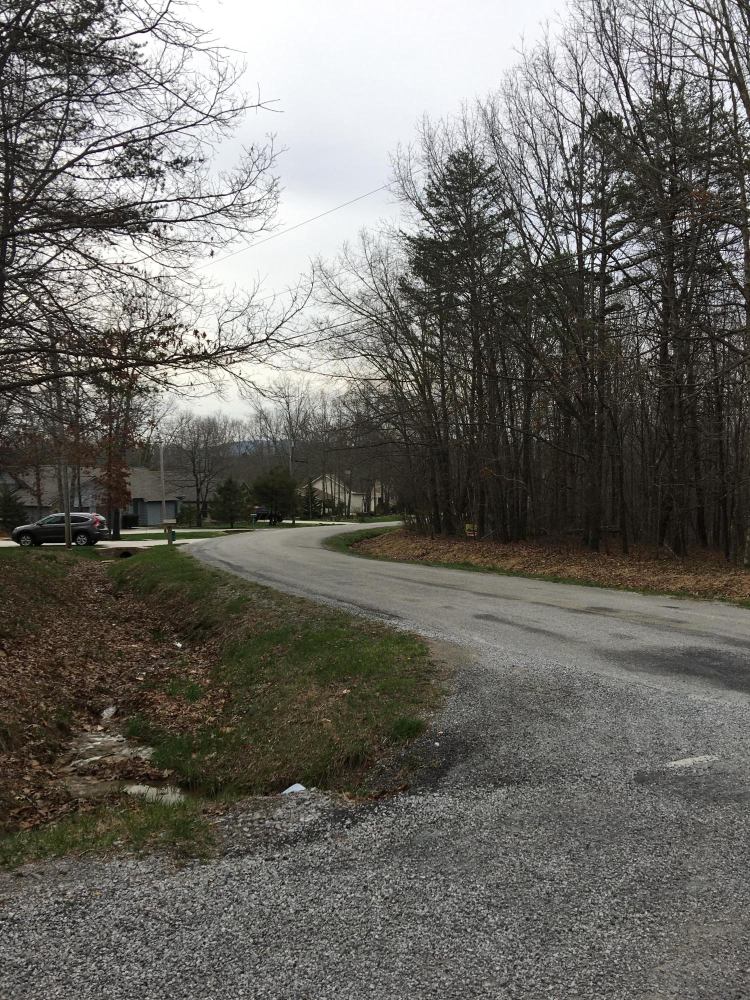 157 Cappshire Road Crossville, TN 38558 - Photo 2 of 8 IMG_2972