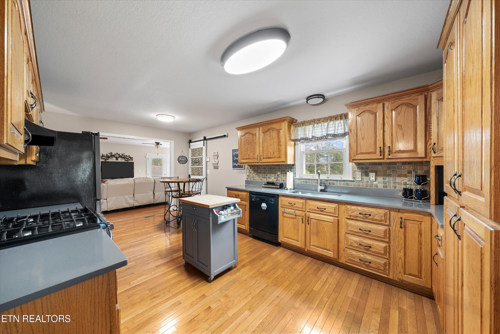 3073 Dutch Valley Road Washburn, TN 37888 - Photo 14 of 32 Gallery Image 14