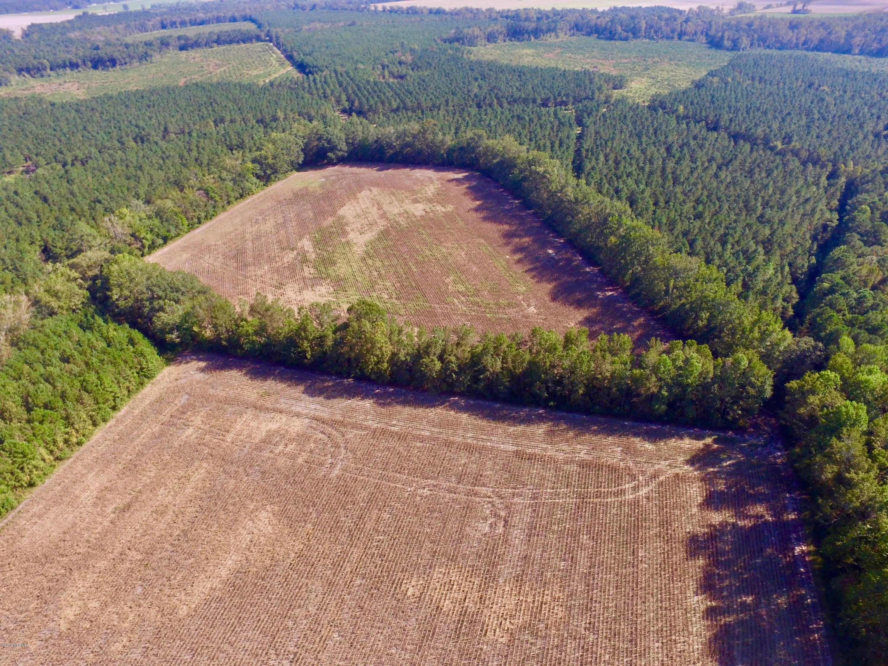 0 Whichard Cherry Lane Road Stokes, NC 27884 - Photo 12 of 76 DJI_0012 2