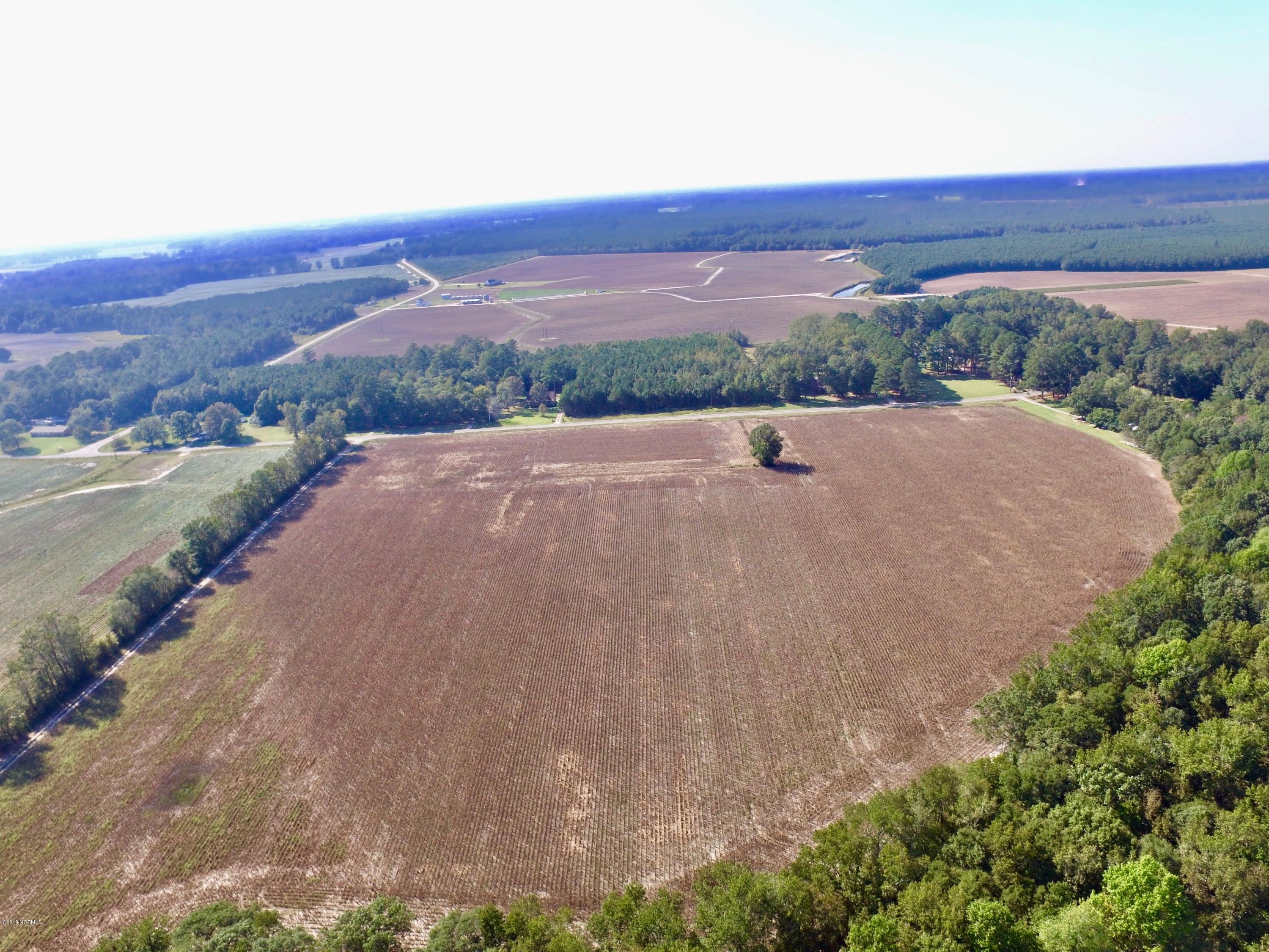0 Whichard Cherry Lane Road Stokes, NC 27884 - Photo 20 of 76 DJI_0020 2