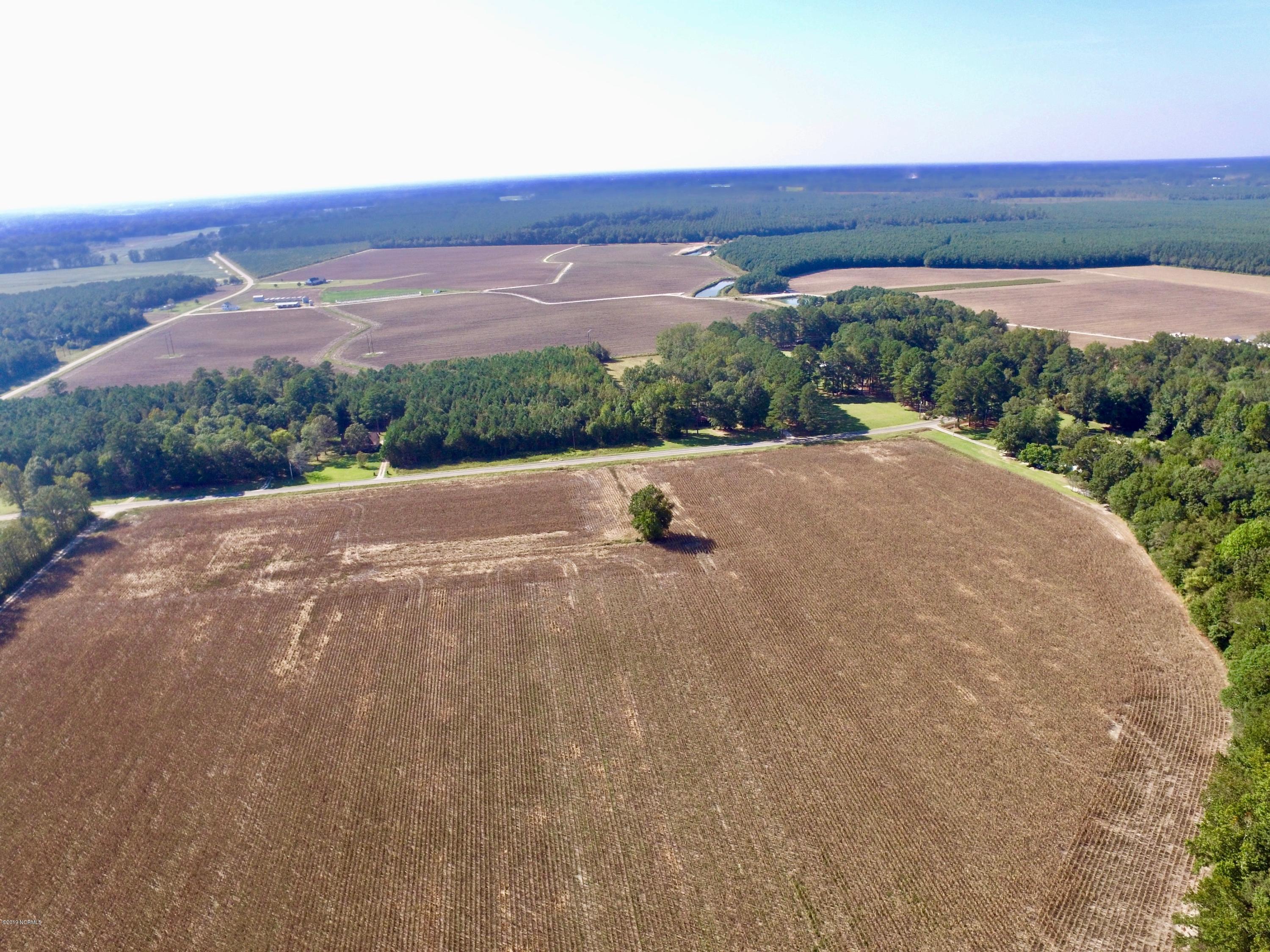 0 Whichard Cherry Lane Road Stokes, NC 27884 - Photo 22 of 76 DJI_0022 2