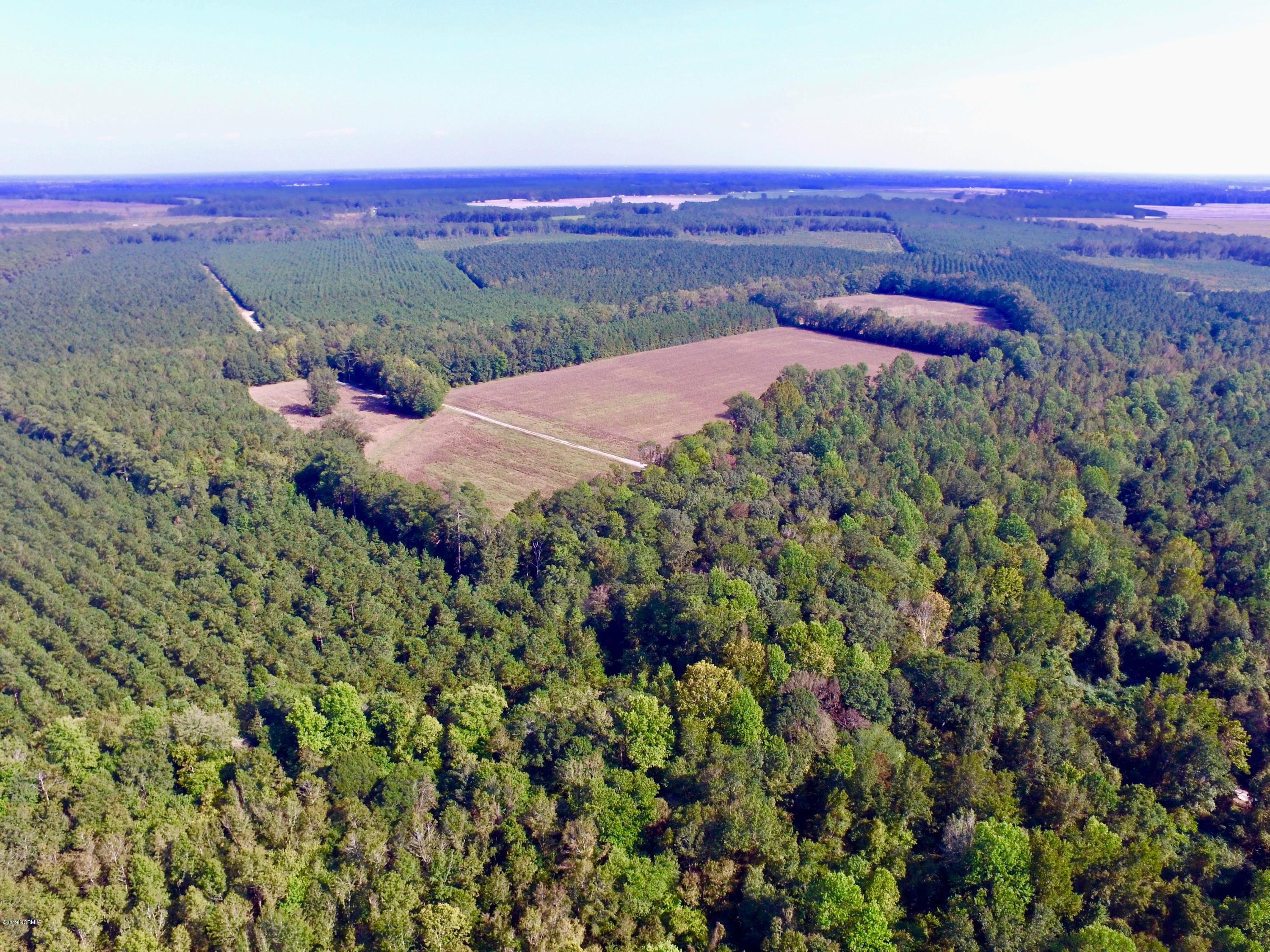 0 Whichard Cherry Lane Road Stokes, NC 27884 - Photo 23 of 76 DJI_0023 2