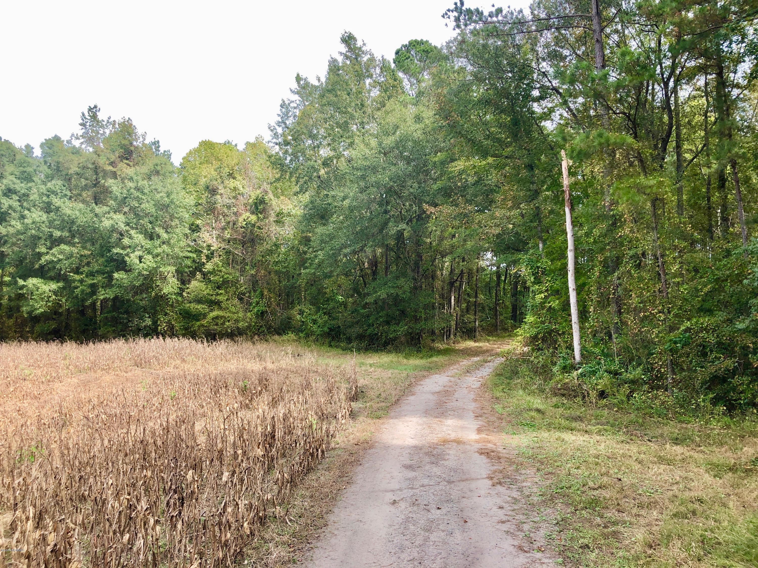 0 Whichard Cherry Lane Road Stokes, NC 27884 - Photo 50 of 76 IMG_9427
