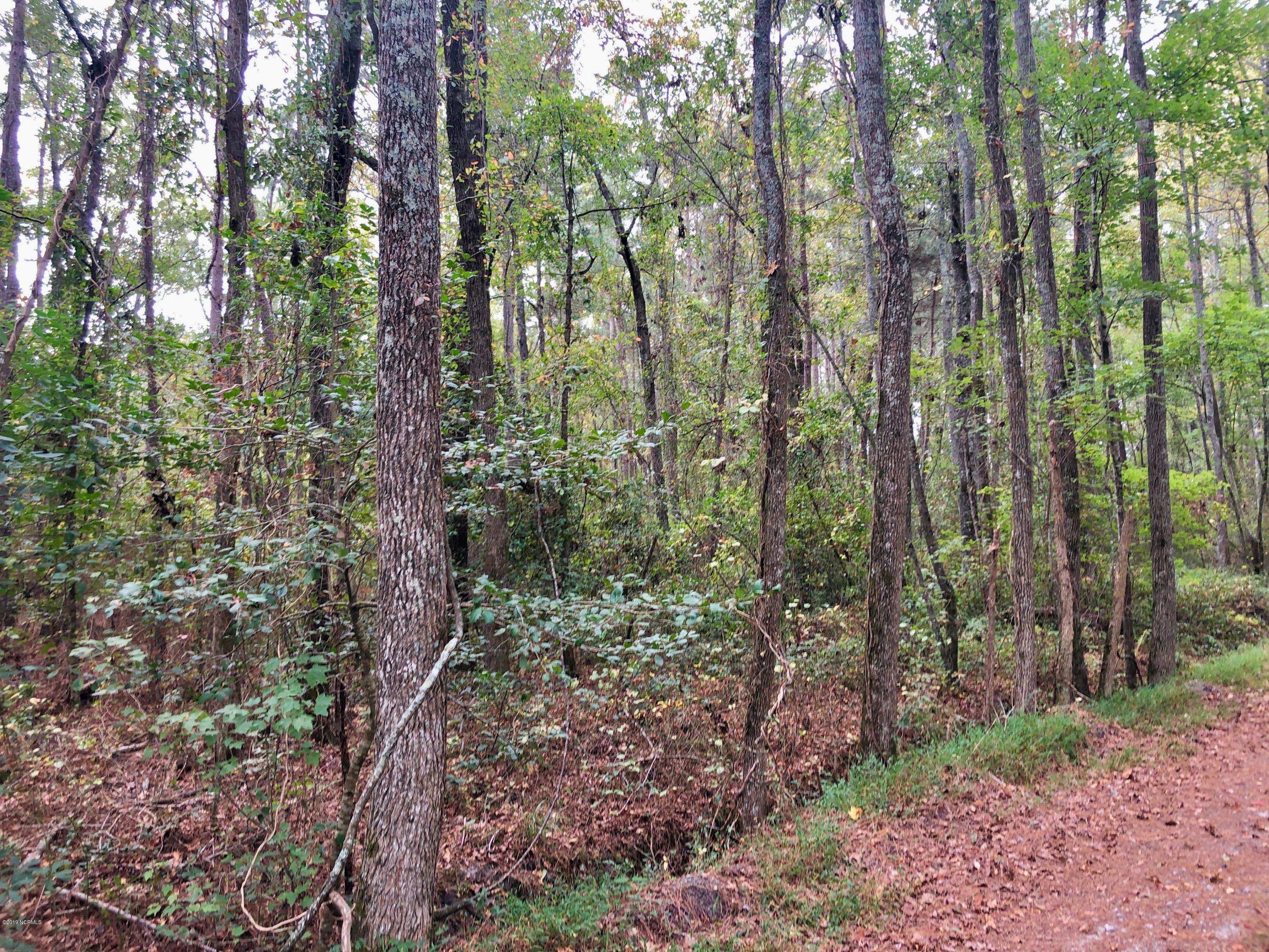 0 Whichard Cherry Lane Road Stokes, NC 27884 - Photo 53 of 76 IMG_9430