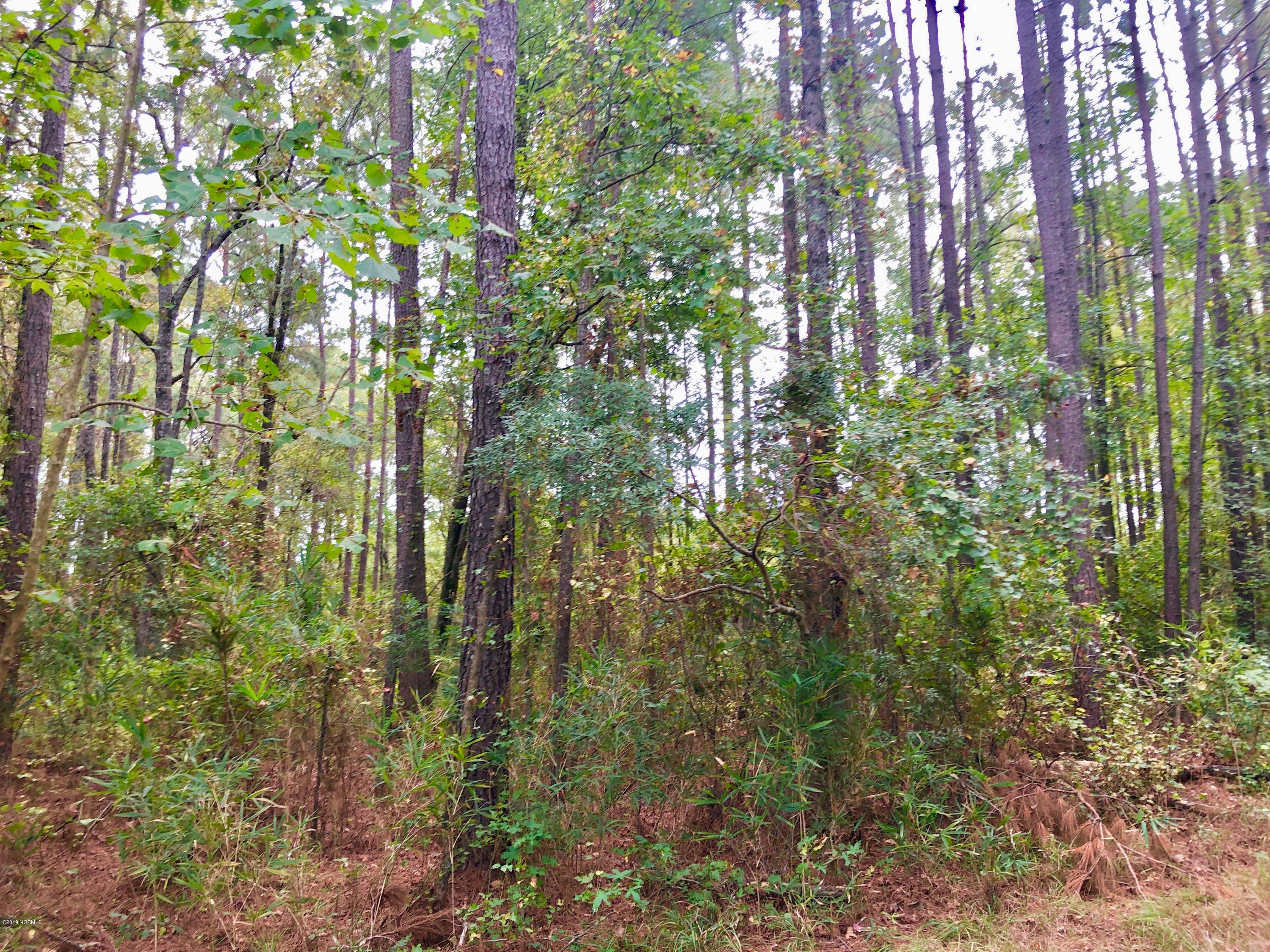 0 Whichard Cherry Lane Road Stokes, NC 27884 - Photo 56 of 76 IMG_9433