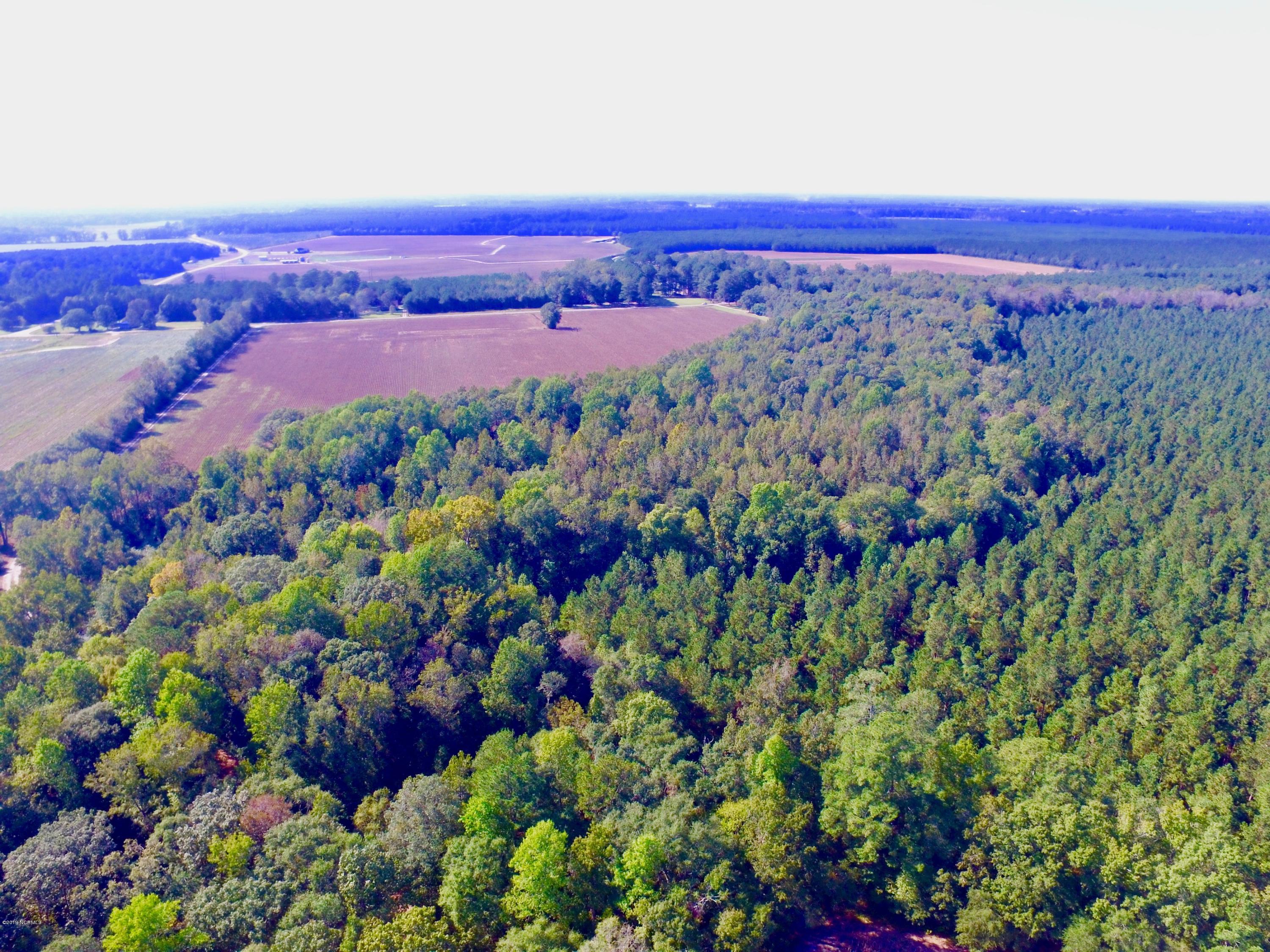 DJI_0007 2