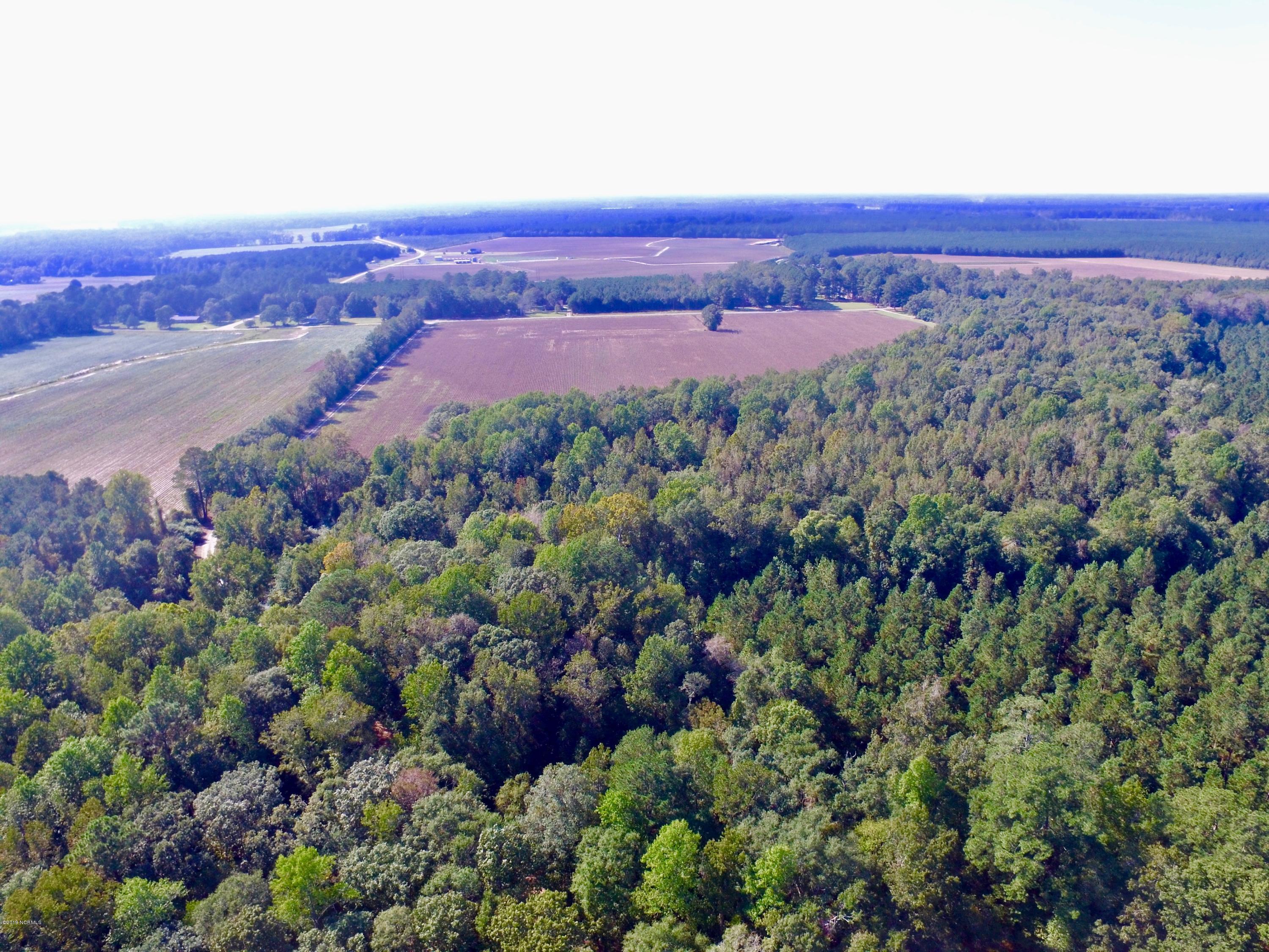 0 Whichard Cherry Lane Road Stokes, NC 27884 - Photo 8 of 76 DJI_0008 2