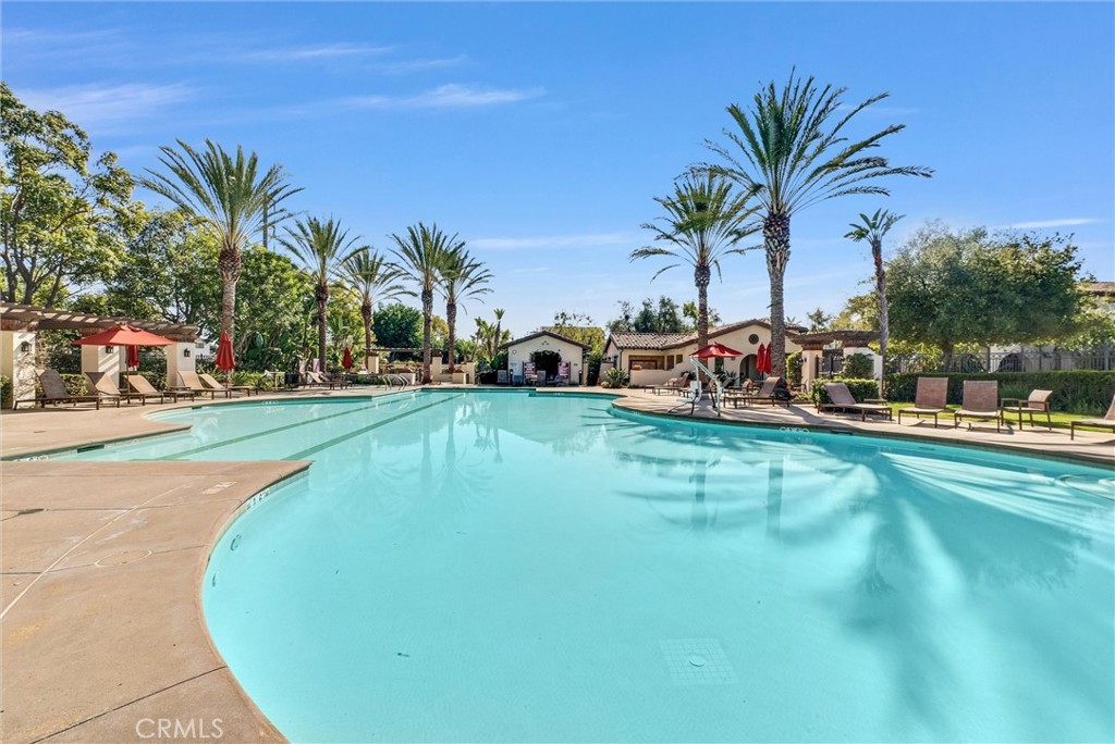 3515 Gardenia Lane Brea, CA 92823 - Photo 45 of 46 a view of a swimming pool with a yard and palm trees