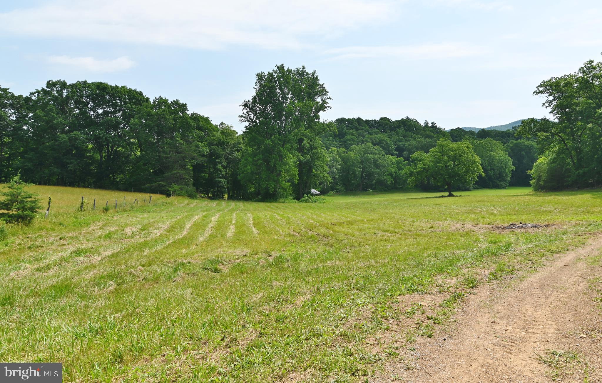 2888 Fort Valley Road Fort Valley, VA 22652 - Photo 90 of 121