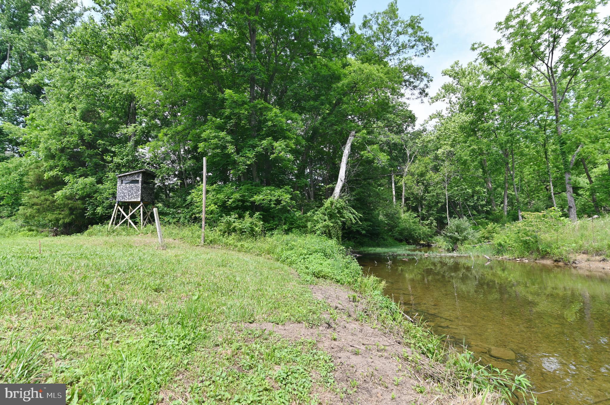 2888 Fort Valley Road Fort Valley, VA 22652 - Photo 98 of 121