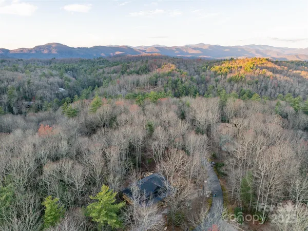 a view of a lush green hillside and a houses