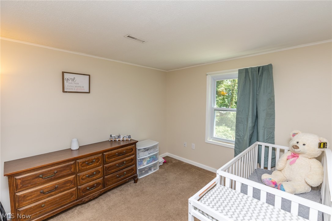 3607 Beck Road Mantua, OH 44255 - Photo 23 of 35 Gallery Image 23