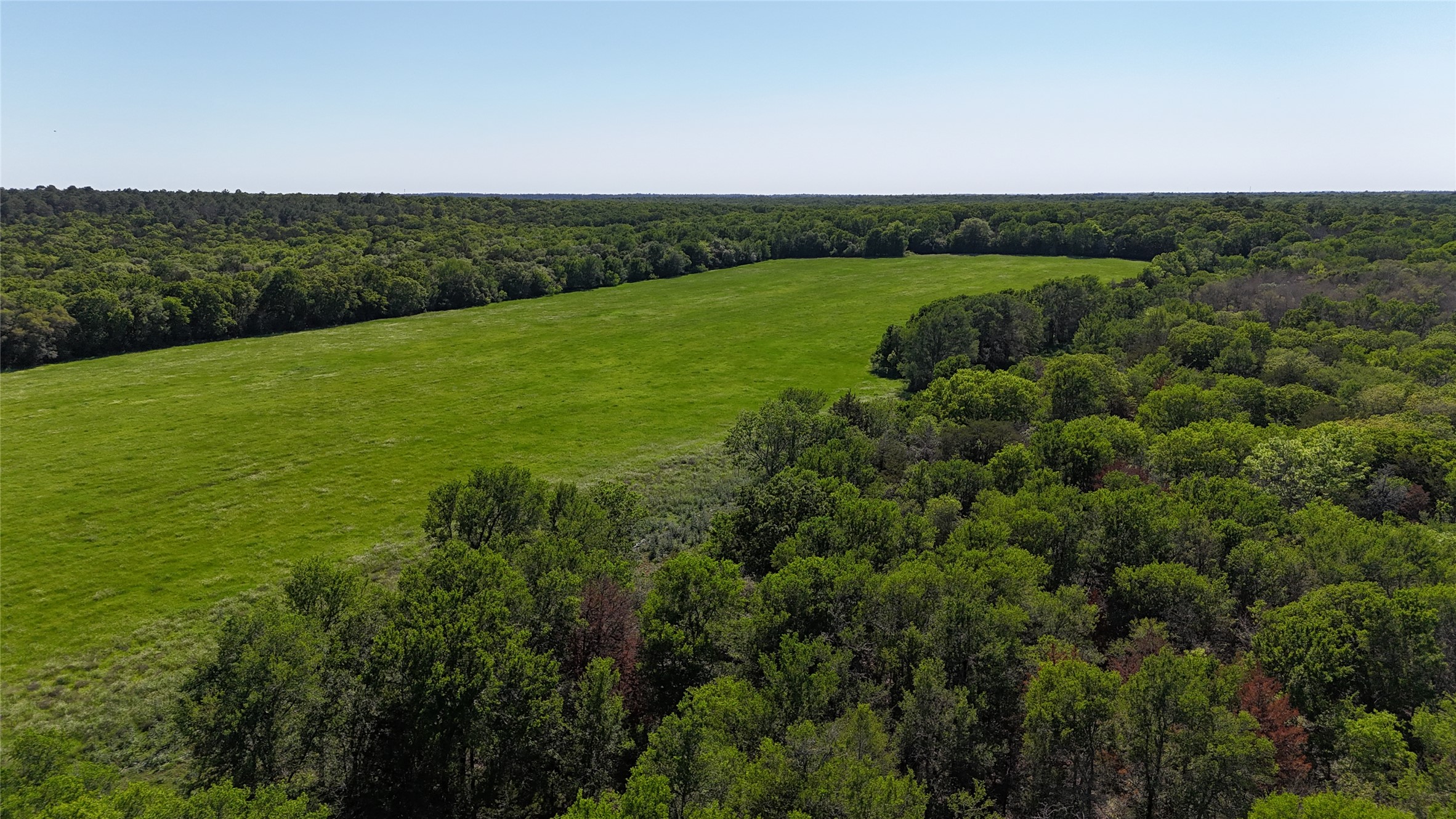 Tbd Tbd Street Paige, TX 78659 - Photo 10 of 14 Bird's eye view of a forest