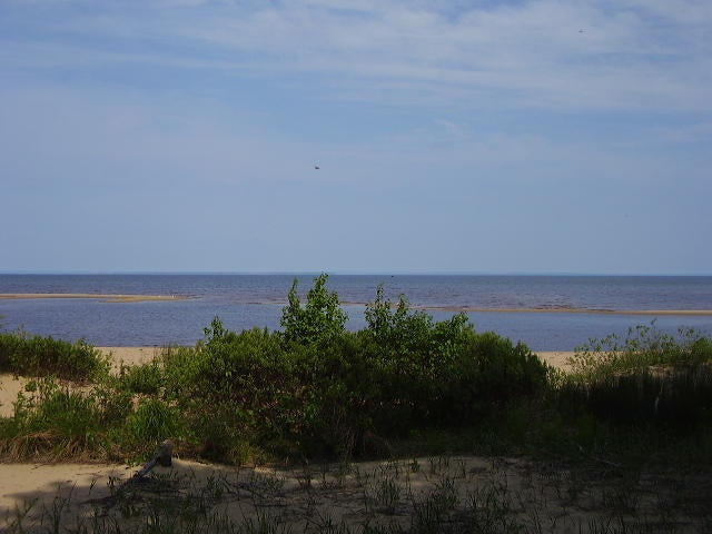 11000 North Whitefish Point Road Paradise, MI 49768 - Photo 1 of 9 Gallery Image 1
